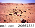 Petrified Forest (Fossil Forest) 20663822