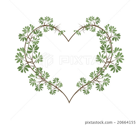 Fresh Black Afara Leaves in Heart Shape 20664155