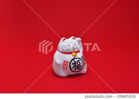 Lucky Cat Lucky Cat 20665016