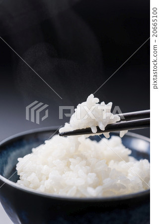 One serving of rice One serving of rice 20665100