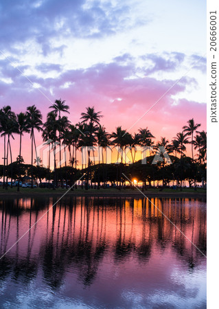 [Hawaii] Palm trees and sunsets 20666001
