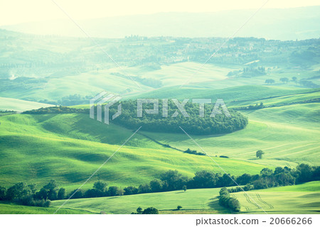 landscape in Tuscany, Italy landscape in Tuscany, Italy 20666266