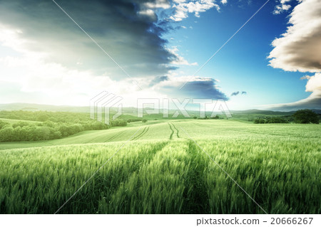 Tuscany sunset, Italy Tuscany sunset, Italy 20666267