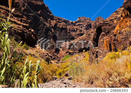 Famous canyon Masca at Tenerife - Canary 20666393