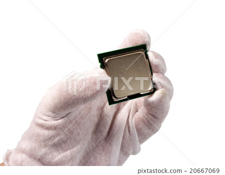 CPU in hand isolated on white background 20667069