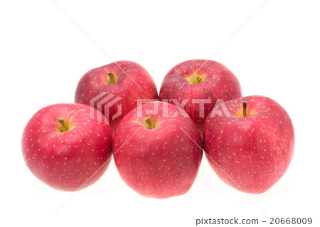 Apple是世界上最好的 20668009
