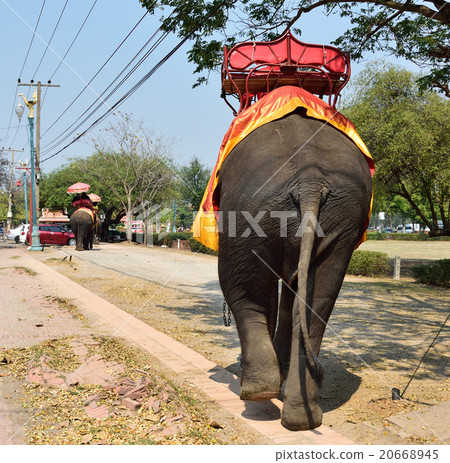 Tourists on an ride elephant tour in Ayutthaya, Tourists on an ride elephant tour in Ayutthaya, 20668945