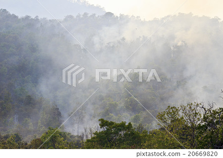 Smoke from fire in a forest ,Thailand 20669820