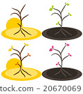 Nature tree symbol illustration 20670069