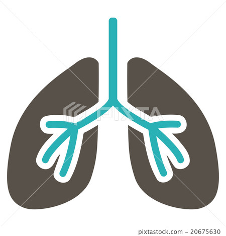 Lungs Flat Icon Lungs Flat Icon 20675630