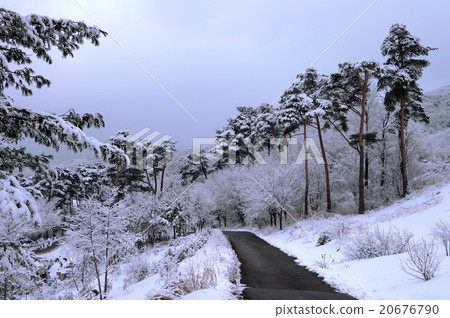 Winter landscape. Winter landscape. 20676790