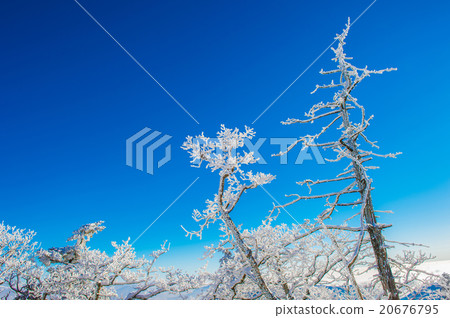 Deogyusan in winter,korea 20676795