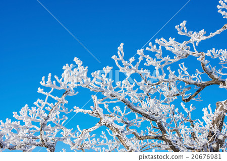 Deogyusan in winter,korea 20676981