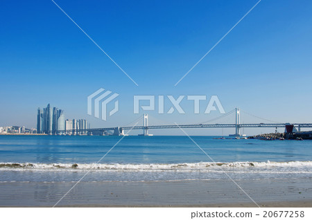 Gwangan bridge and Haeundae in Busan,Korea 20677258