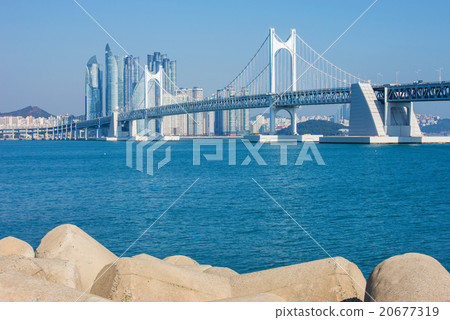 Gwangan bridge and Haeundae in Busan,Korea 20677319