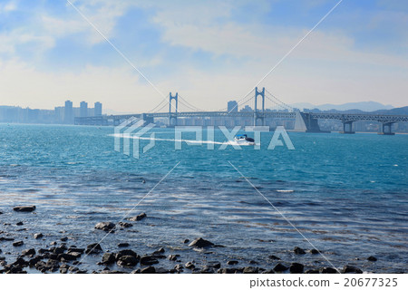 Gwangan bridge and Haeundae in Busan,Korea 20677325