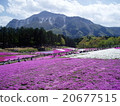 Saitama Prefecture Chichibu City Riryu Park 20677515