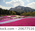 Saitama Prefecture Chichibu City Riryu Park 20677516