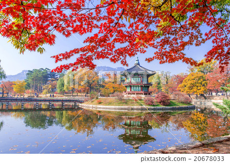 Gyeongbokgung Palace in autumn,South Korea. 20678033