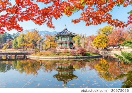 Gyeongbokgung Palace in autumn,South Korea. 20678036