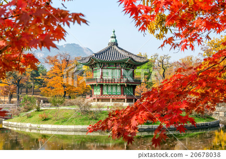 Gyeongbokgung Palace in autumn,South Korea. 20678038