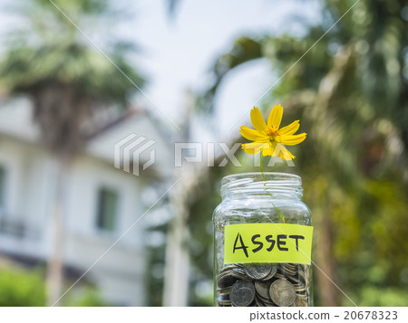 Flower and coins in glass jar against blur house. 20678323