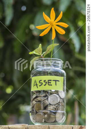 Flower and coins in glass jar against blur house. 20678324