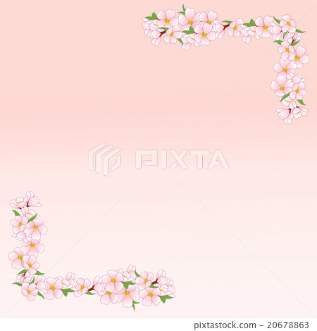 櫻桃樹框架 櫻桃樹框架 20678863