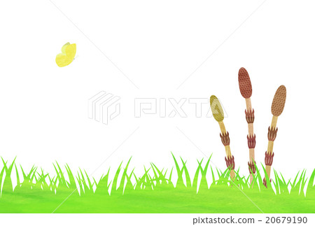 Tsukushi and a butterfly 20679190