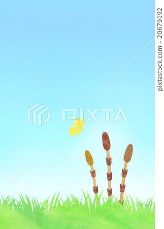 Tsukushi and a butterfly 20679192