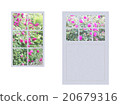 Various windows with roses 20679316