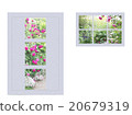 Various windows with roses 20679319