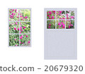 Various windows with roses 20679320