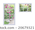 Various windows with roses 20679321