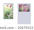 Various windows with roses 20679322