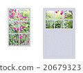 Various windows with roses 20679323