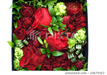 花盒花（玫瑰花禮物） 20679367