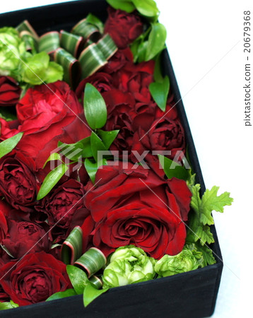 花盒花（玫瑰花禮物） 20679368