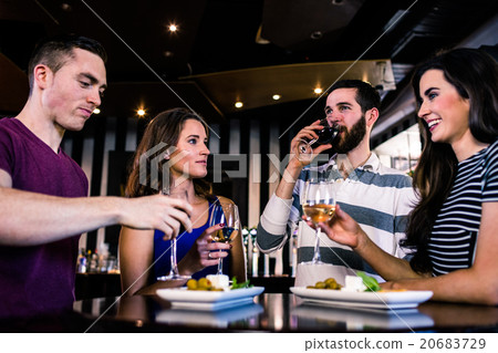 Group of friends having a glass of wine 20683729