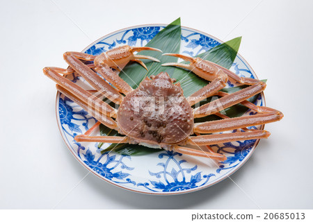 Snow crab 20685013