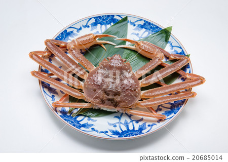 Snow crab 20685014
