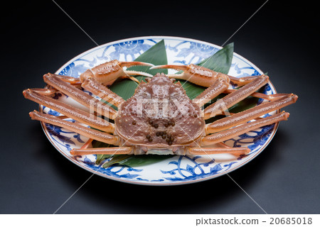 Snow crab 20685018