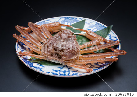Snow crab Snow crab 20685019