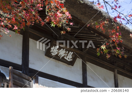 Kamakura Enka Temple Board of Foundation 20686140