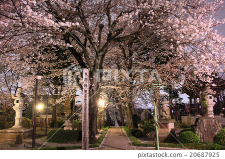 Spring night's Shinonomeji temple Spring night's Shinonomeji temple 20687925
