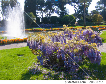 french riviera 20688744