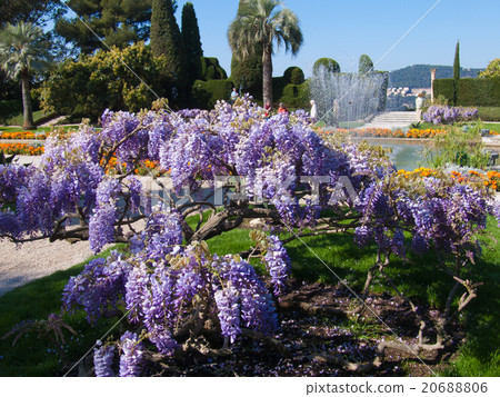 french riviera french riviera 20688806