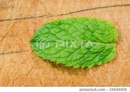 Mint leaves Mint leaves 20689808