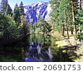 Yosemite National Park 20691753