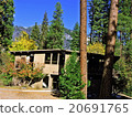 Yosemite National Park Lodge 20691765